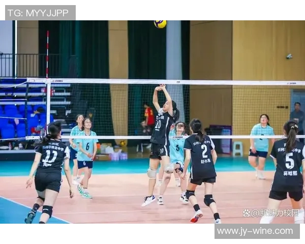 南京排球队在全国排球节奏排行榜中荣获第三名的辉煌成就